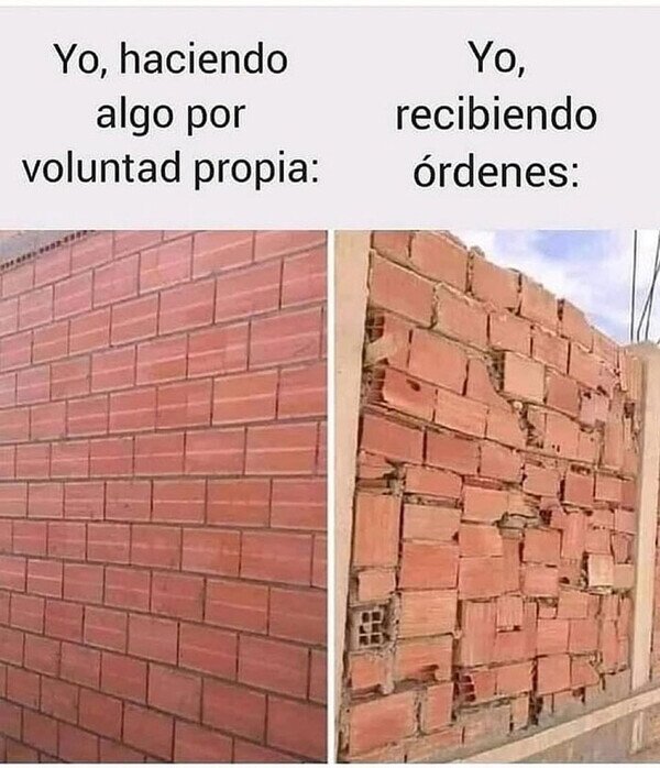 Meme_otros - No trabajo igual