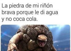 Enlace a No está acostumbrada