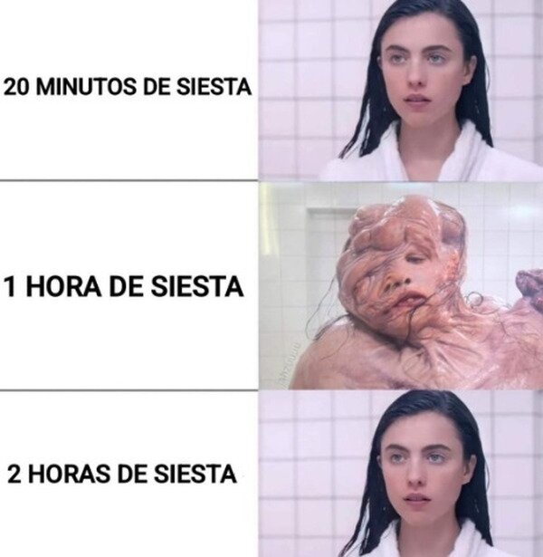 siesta,tiempo,hora,dormir