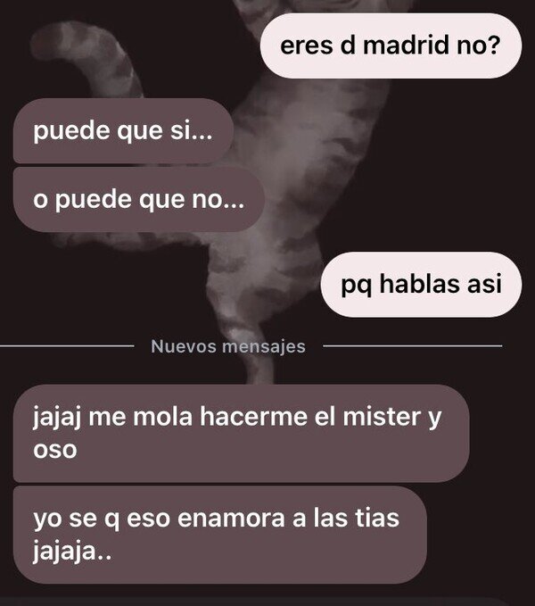 Meme_otros - Mister y oso