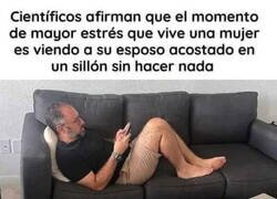 Enlace a Foco de estrés femenino