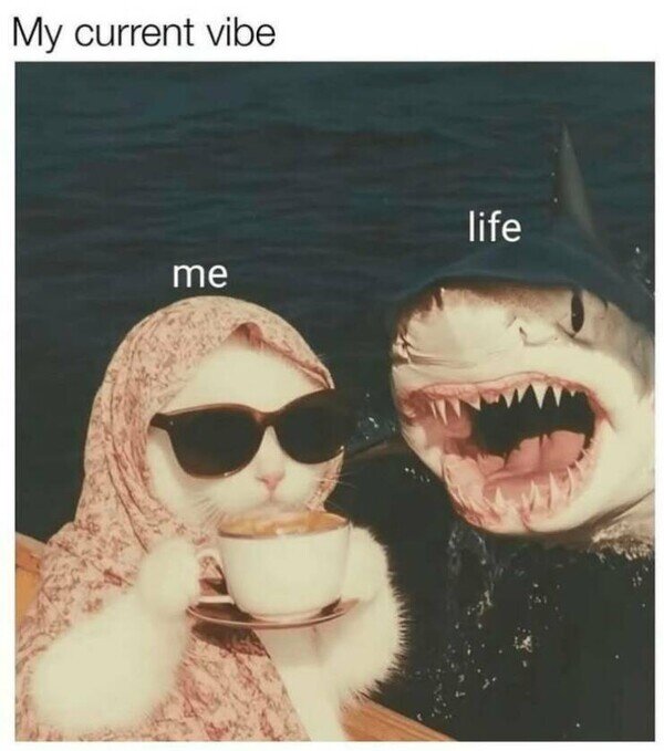 Meme_otros - Ya me da igual todo