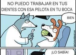 Enlace a El truco del perro dentista