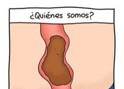 Enlace a Caca reflexiva