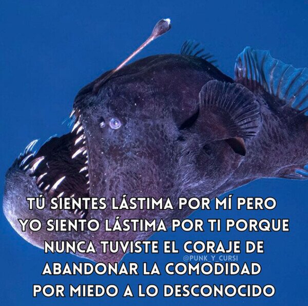 Meme_otros - El pez abisal como modo de vida
