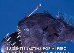 Enlace a El pez abisal como modo de vida