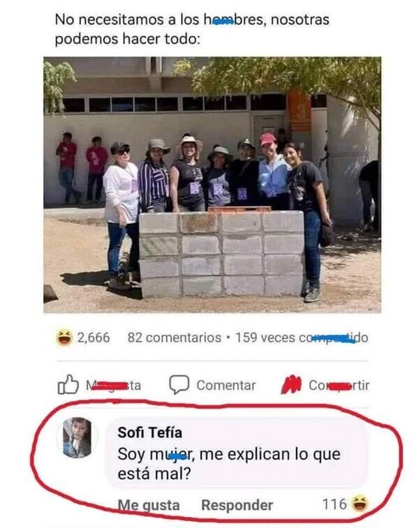 Meme_otros - Ese muro...