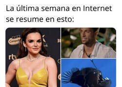 Enlace a Tal cual