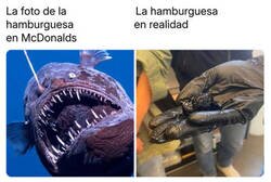 Enlace a No es lo que parecía