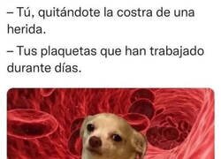 Enlace a Todo el trabajo al traste