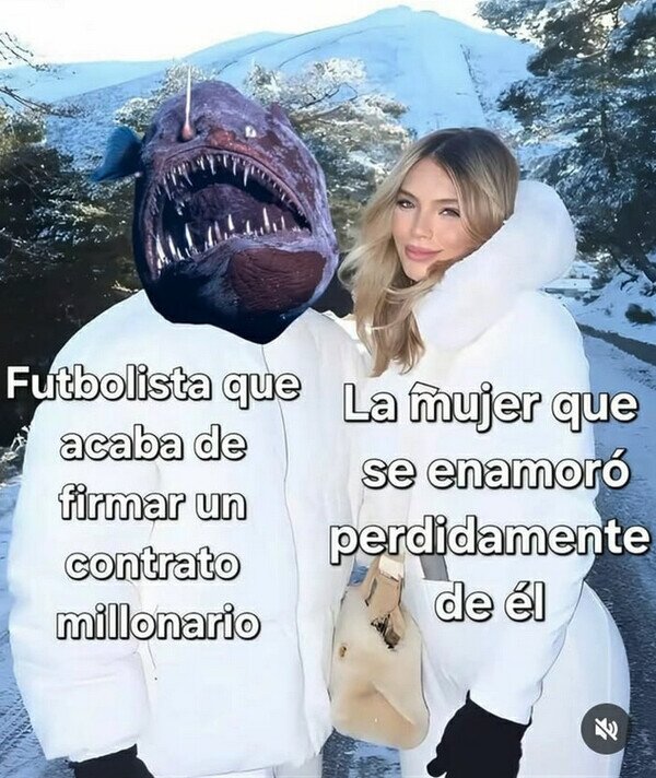 Meme_otros - Qué bonita pareja