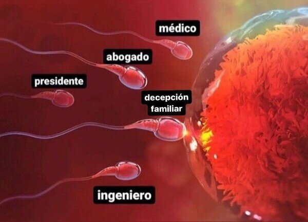 espermatozoide,llegar,antes,decepción