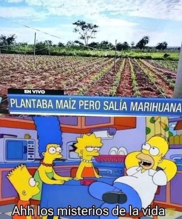 Meme_otros - Qué extraño todo...
