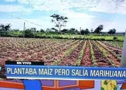 Enlace a Qué extraño todo...