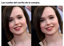 Enlace a Elliot no es como Ellen