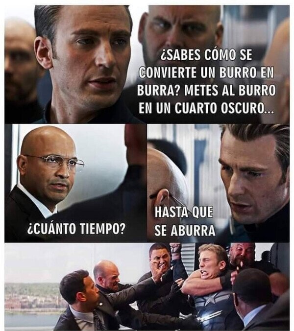burro,burra,aburra,convetir,Capitán América