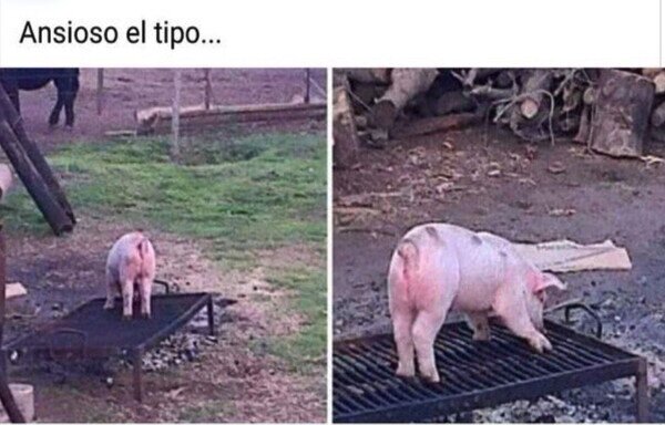 Otros - Tiene prisa por ir a la brasa