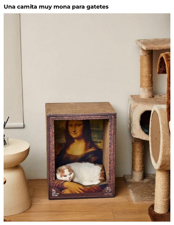 cama,caja,gato,Mona Lisa