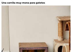 Enlace a La necesito y no tengo ni gato