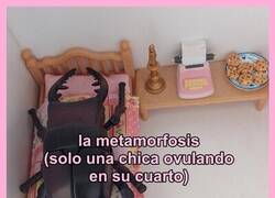 Enlace a Metamorfosis
