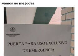 Enlace a Esa será su opinión