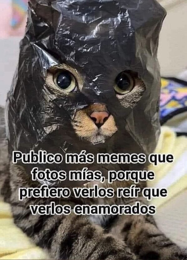 Meme_otros - No quiero que sufráis