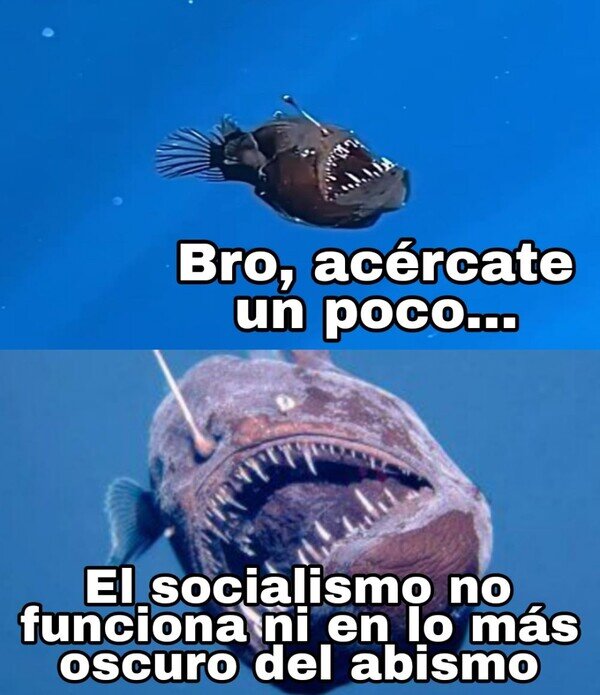 Meme_otros - Hasta el pez abisal lo sabe