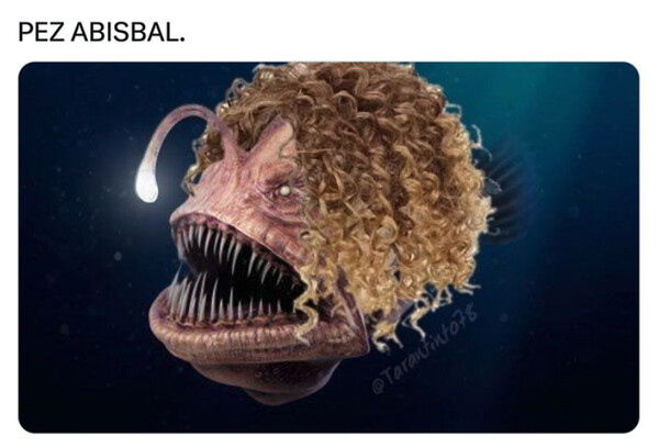 pez abisal,Bisbal,tontería