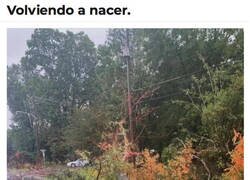 Enlace a Este tipo tiene nuevo cumpleaños