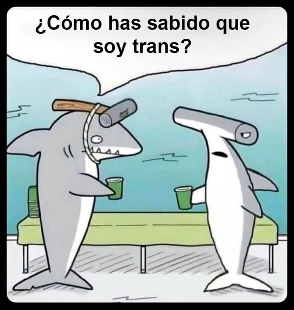 Meme_otros - Se identifica como pez martillo