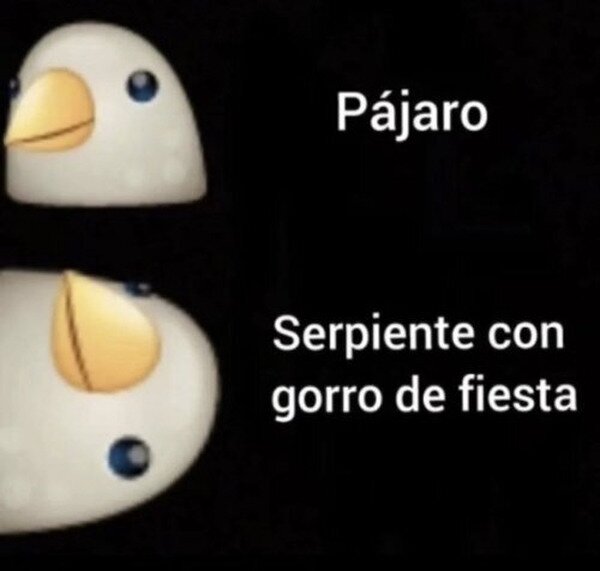 pájaro,serpiente,gorro,fiesta