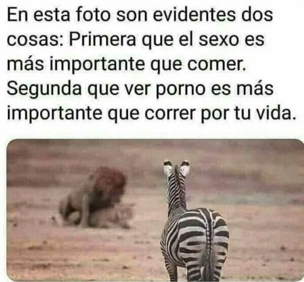 Otros - La imagen de las evidencias