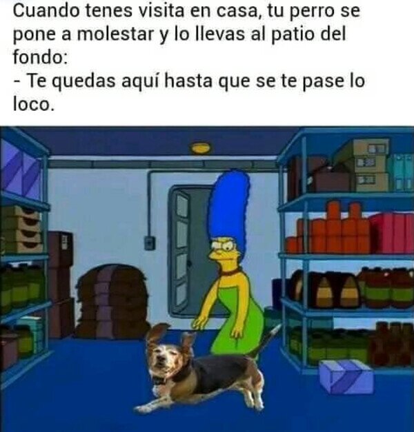 Otros - Perro molesto