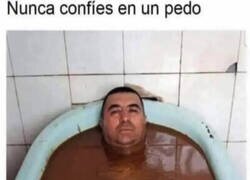 Enlace a Dijo la magdalena bañada en colacao