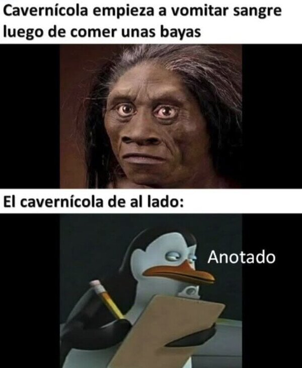 Meme_otros - Alguien tuvo que ser el primero en comprobar qué es venenoso y qué no
