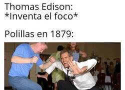 Enlace a El mejor amigo de las polillas