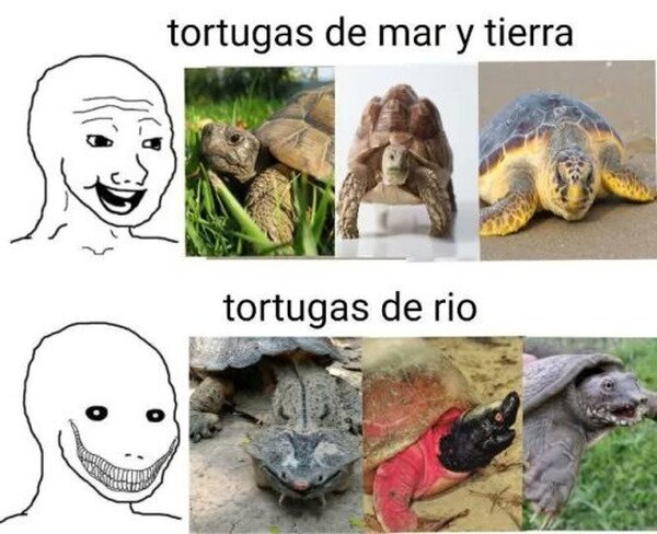 Meme_otros - ¿Qué animal del averno es ese?