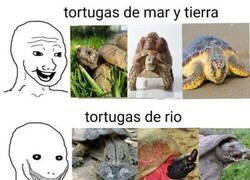 Enlace a ¿Qué animal del averno es ese?