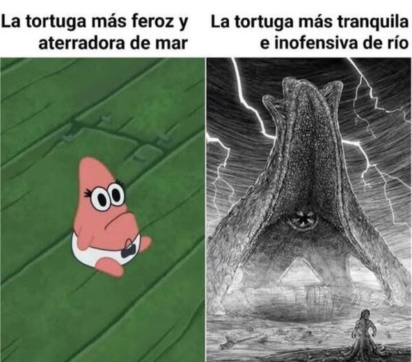Meme_otros - No quisiera encontrarme con una tortuga de río