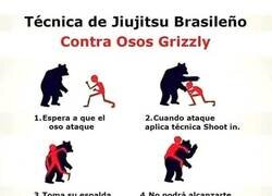 Enlace a Técnicas contra osos grizzlies