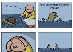 Enlace a Solo quería ayudar