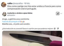 Enlace a Qué idioma el portugués...