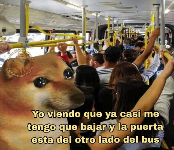 bus,puerta,gente,bajar