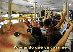 Enlace a Toca hacerse hueco entre la multitud