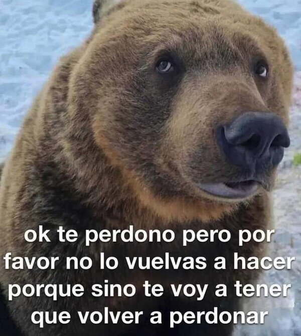 oso,perdonar