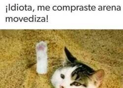 Enlace a ¡Noooooo!