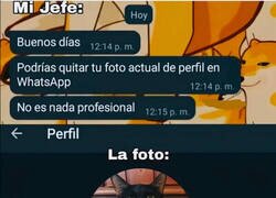 Enlace a Pero si es el gato más profesional que he visto