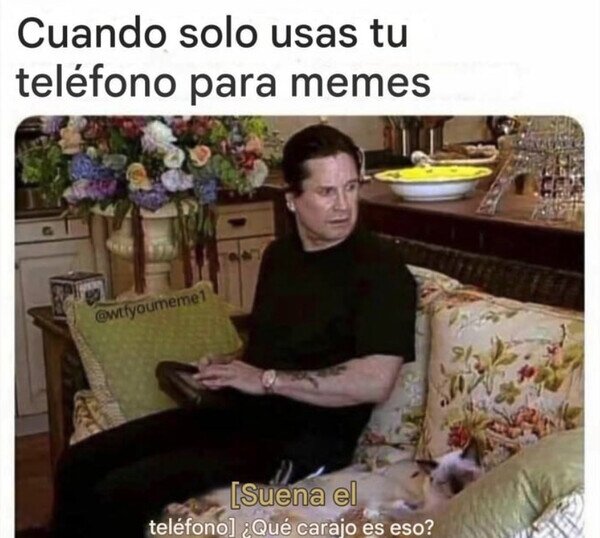 teléfono,memes,móvil,sonar