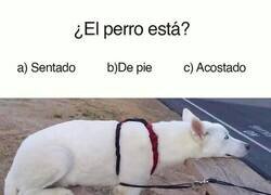 Enlace a Pregunta de dificultad extrema