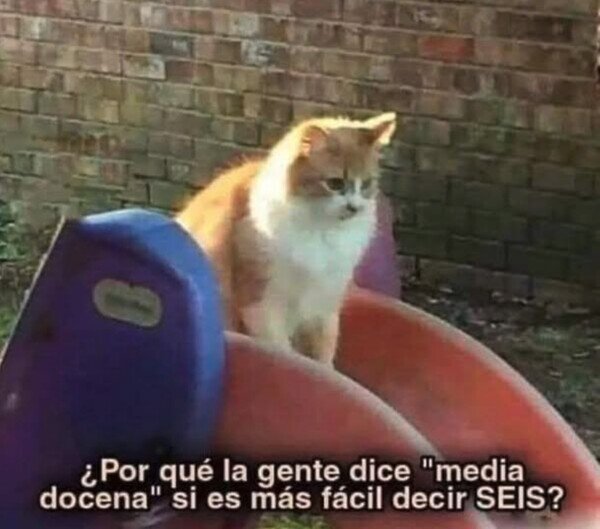 decir,media,docena,seis